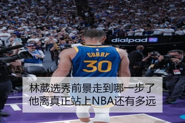 林葳选秀前景走到哪一步了 他离真正站上NBA还有多远